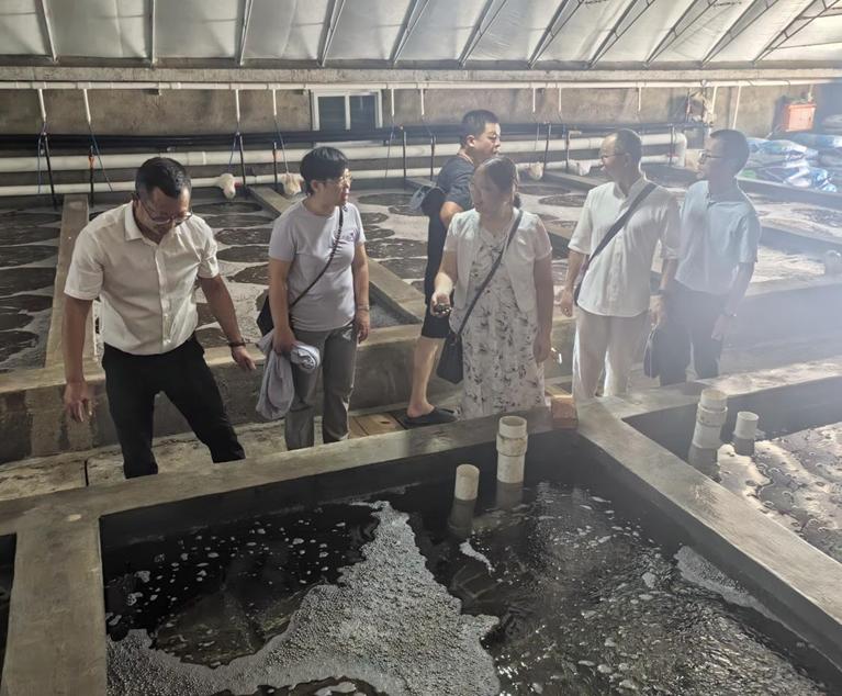 科技賦能，綠色養殖 福建科特派攜手霞浦企業推動海參產業鏈升級與室內環境治理